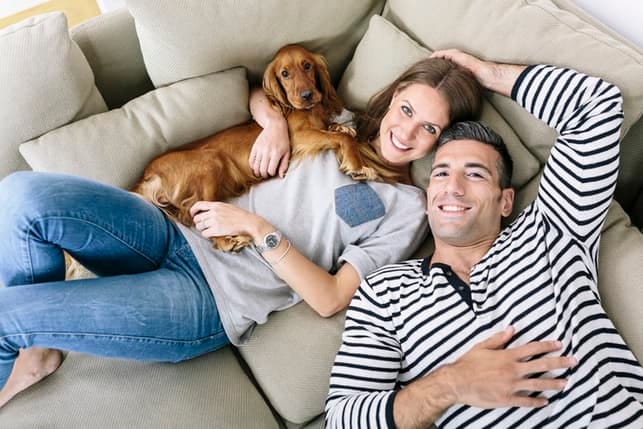 a couple lying on their bed while petting their dog