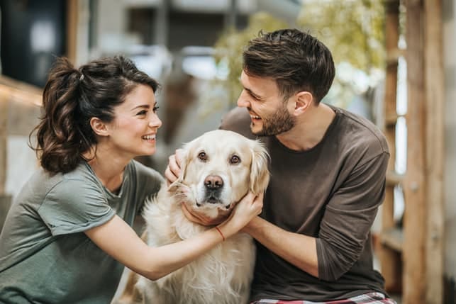a couple petting a dog together