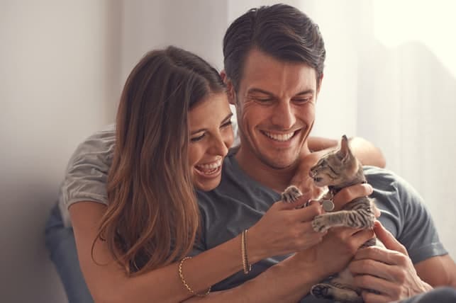 a happy couple playing with a kitten